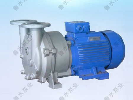 2BV水(shuǐ)環式真空泵